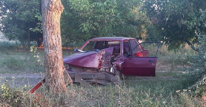 На Ковельщині Peugeot врізався в дерево – водій загинув на місці