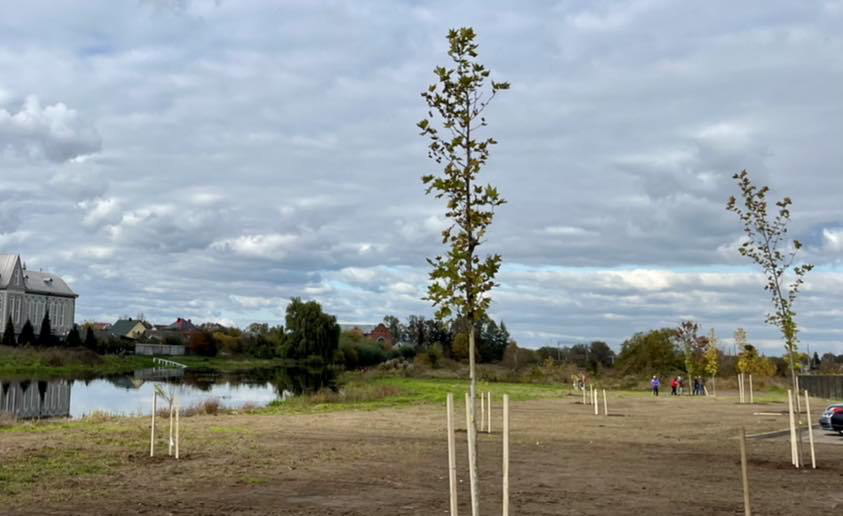 У Ковелі на березі річки Турія висадили нові дерева (фото)