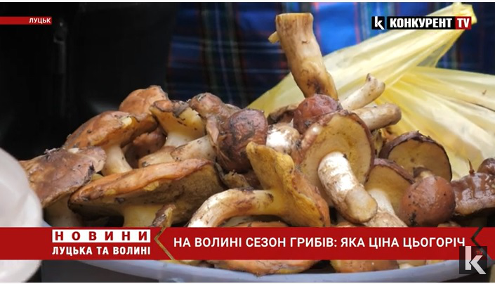 Сезон у розпалі: які ціни на гриби у Луцьку (відео)