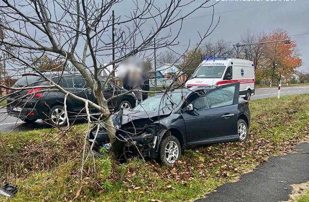 ДТП у Торчині: авто з’їхало в кювет і врізалося в дерево