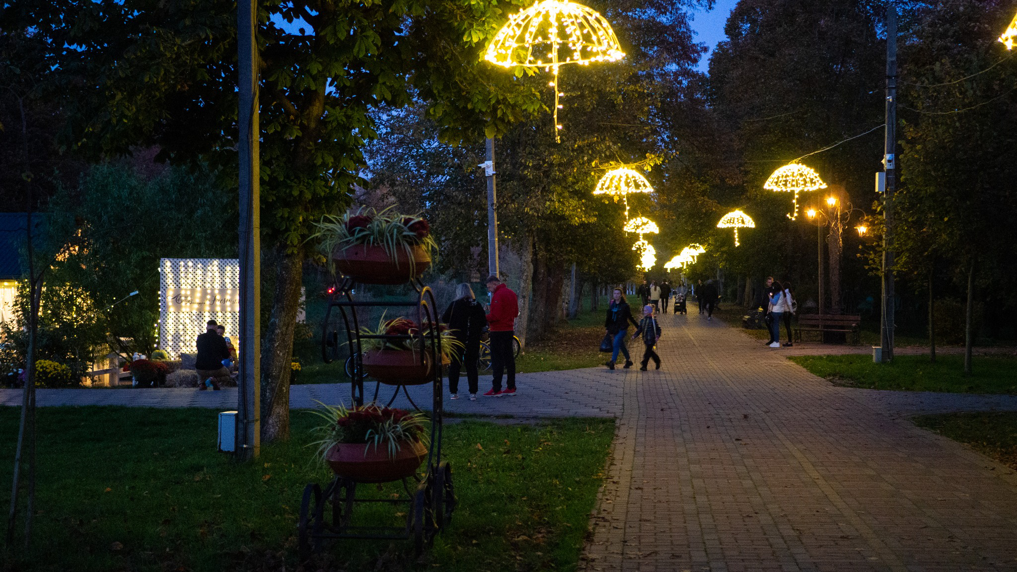 Уночі у Луцьку вимкнуть світло: перелік вулиць