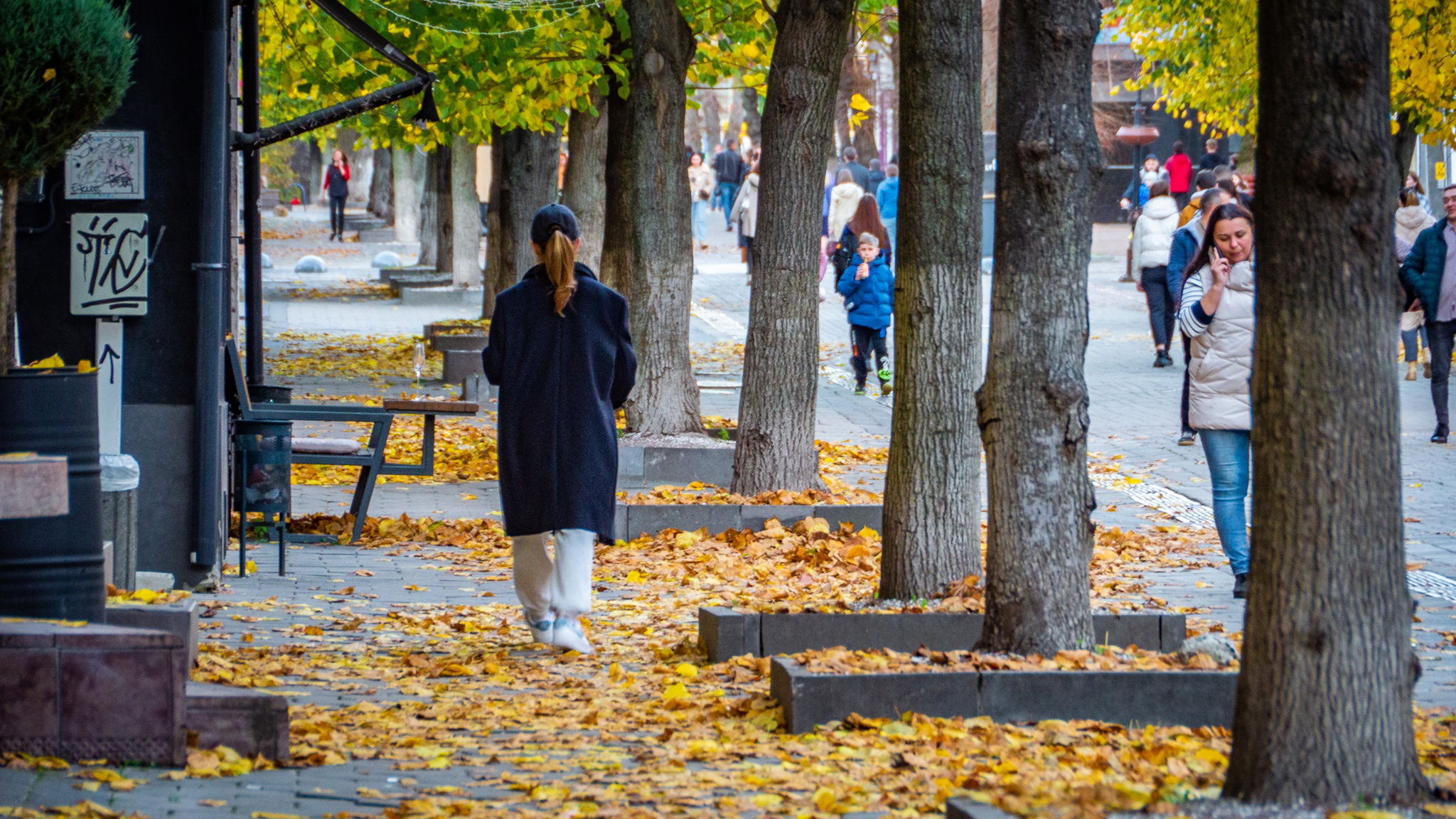 Нехолодно: погода в Луцьку на вівторок, 1 листопада