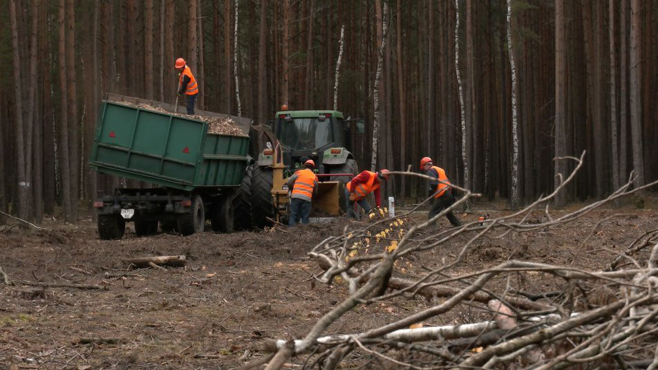 Котельні працюють, дровами забезпечені: у волинській громаді, що межує з Білоруссю, готуються до зими