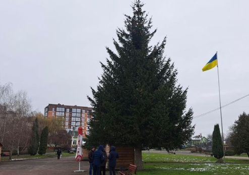 У Володимирі почали облаштовувати місце біля новорічної ялинки