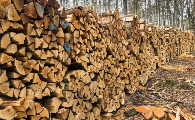 Для найгірших сценаріїв: в Україні заготували рекордну кількість дров