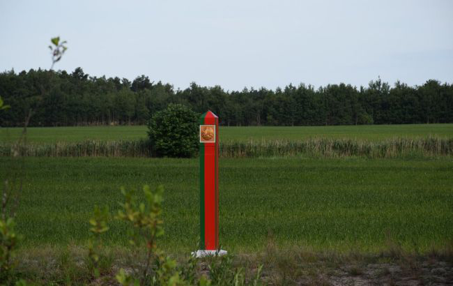 У Білорусі зняли заборону на відвідування лісів поруч з Україною