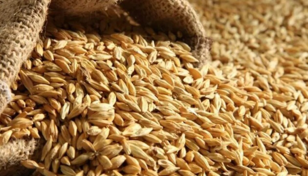 Світові ціни на кукурудзу і пшеницю сягнули нового рекорду