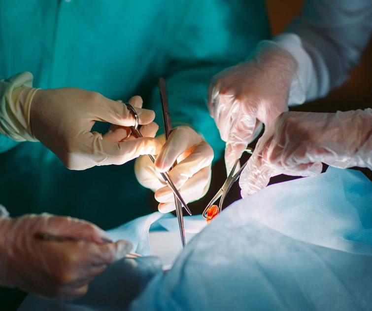 На 20% більше, ніж торік:  в Україні зробили 384 операції з пересадки органів