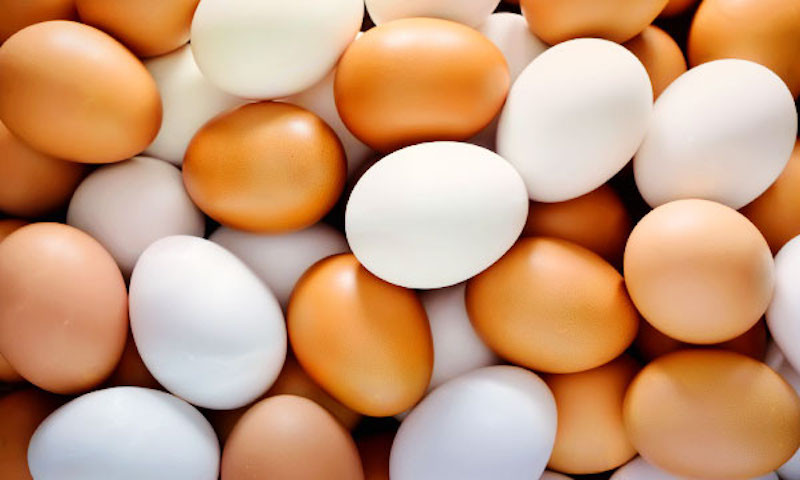В Україні запровадять нові правила продажу яєць
