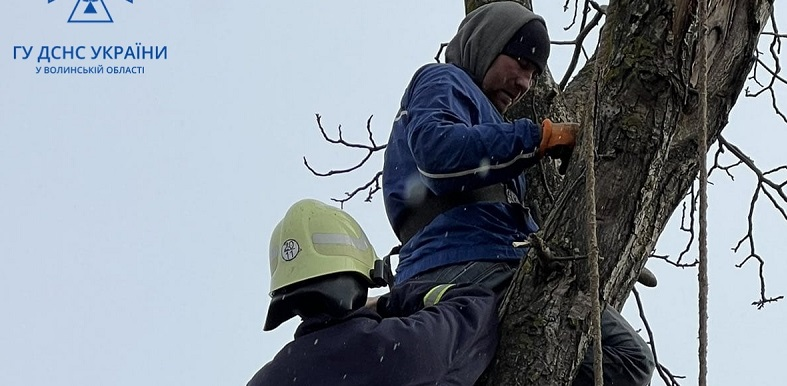 У Луцькому районі чоловік потрапив у «капкан» на дереві (фото)