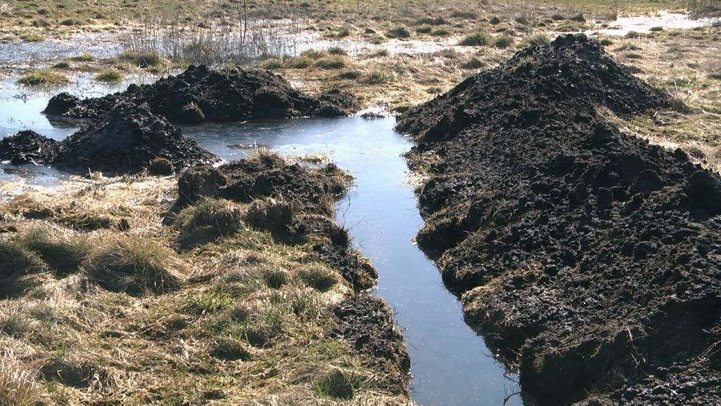 На Ковельщині у річку потрапили трансформаторні мастила: чи критичне забруднення (відео)