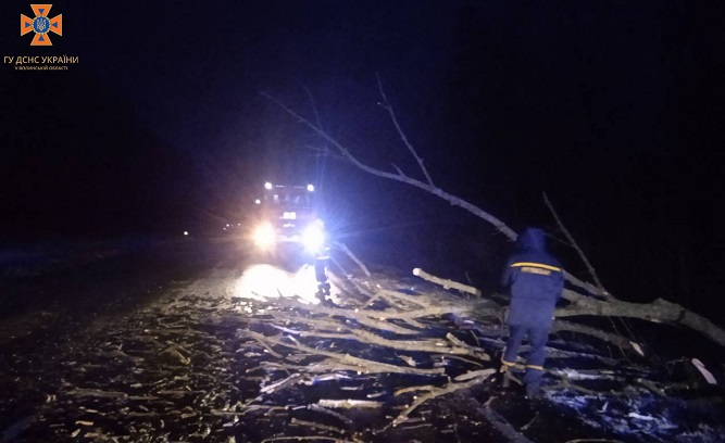 Негода на Волині: буревій повалив дерева на дорогу (фото, відео)