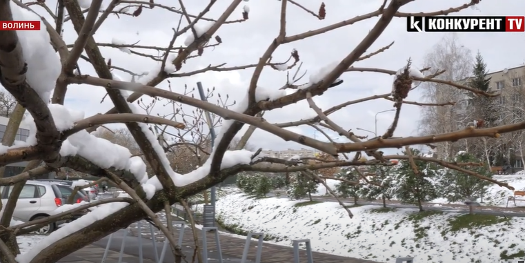 «Некалендарна» зима: як довго сніжитиме на Волині (відео)