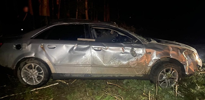 На Волині Audi злетіла у кювет – постраждали водій і пасажир (фото, відео)