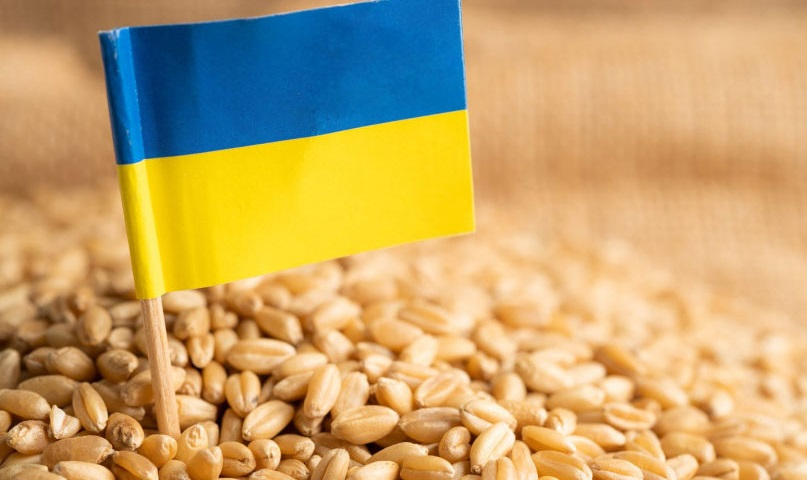 Словаччина забороняє переробку й продаж українського зерна