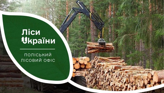 На потреби оборони: за тиждень Поліський лісовий офіс передав 500 м³ деревини