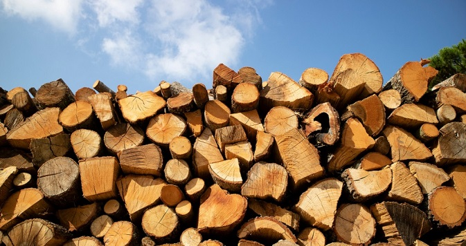 Лісівники Волині протягом опалювального сезону заготовили понад сто тисяч м³ дров