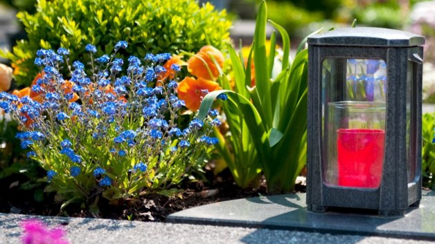Садять на могилі чи несуть букети: якими квітами лучани прикрашають кладовища