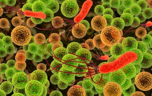 Науковці виявили 30 тисяч нових вірусів у ДНК мікробів