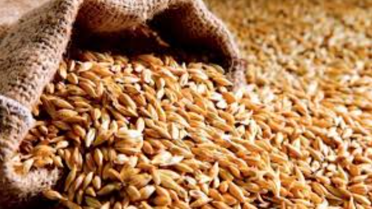Працівницю сховища на Волині підозрюють в розтраті зерна на понад мільйон гривень