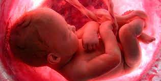 Американські лікарі вперше в світі прооперували малюка в утробі матері