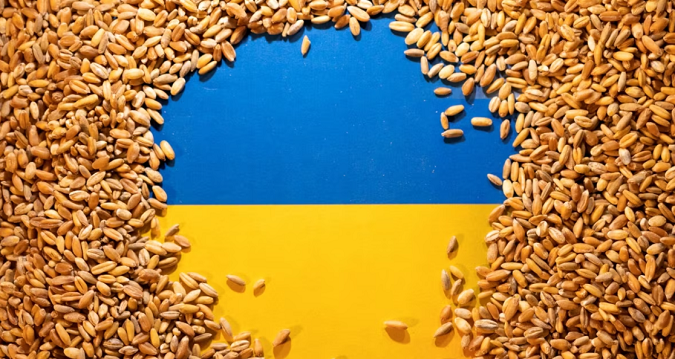 Польська прокуратура встановила шахрайські схеми з імпортом українського зерна