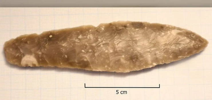 Школярка з Норвегії випадково знайшла кинджал кам'яної доби