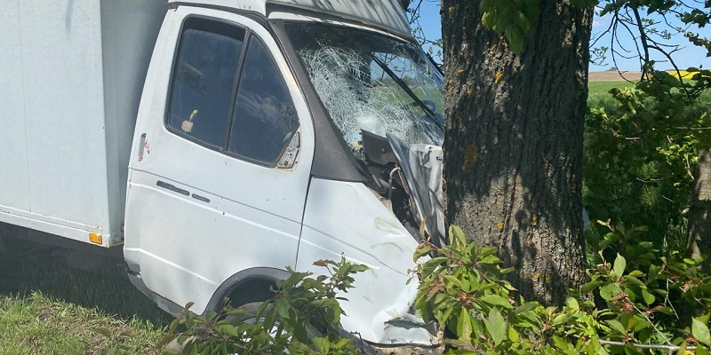 У Луцькому районі ГАЗ після зіткнення з мотоциклом протаранив дерево (відео)