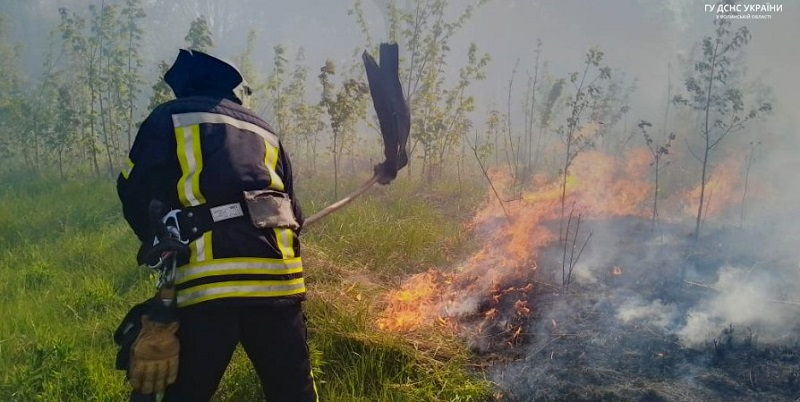 Під Луцьком чоловік болгаркою підпалив траву (фото)