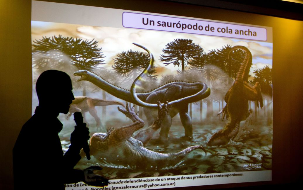В Аргентині знайшли останки гігантського динозавра: його скамʼянілості спричинили ДТП