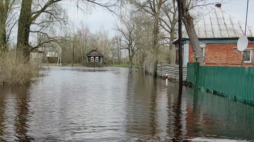 Вода по коліна і пліснява на стінах: на Волині люди роками страждають від затоплення будинку (відео)