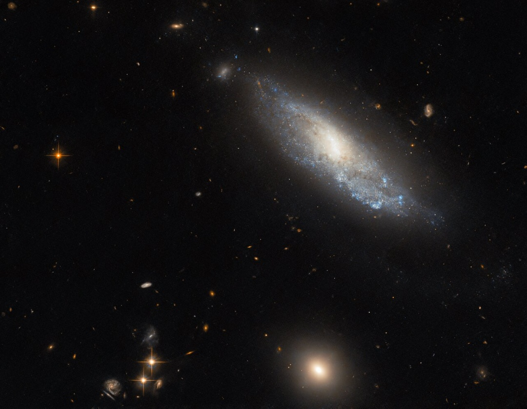 Hubble показав «самотню» спіральну галактику в сузір'ї Кита