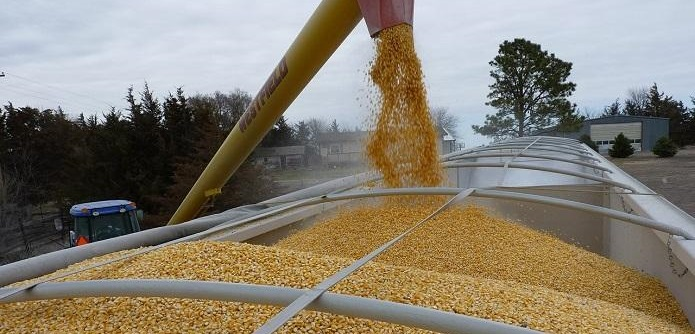 Угорщина просить ЄС продовжити обмеження на імпорт зерна з України щонайменше до кінця року