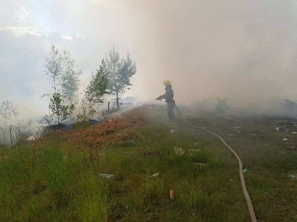 Підпал, дитячі пустощі, необережність: на Волині загасили сім пожеж (фото)