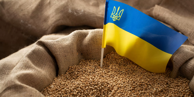 Єврокомісія продовжила до вересня заборону на імпорт українського зерна, – ЗМІ