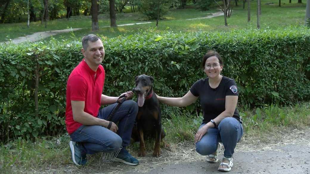 У Луцьку волонтери допомагають тваринам справлятись зі стресом під час війни (фото, відео)