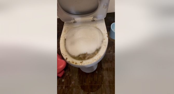 Сусіди викинули підгузок у туалет: у Луцьку квартира тоне у фекаліях (відео)