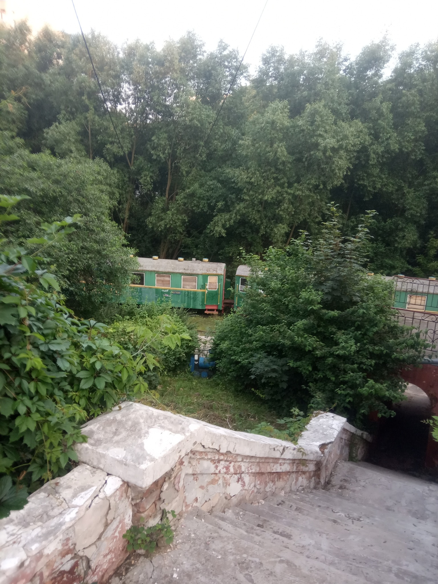 У Луцьку дитяча залізниця заростає кропивою (фото)
