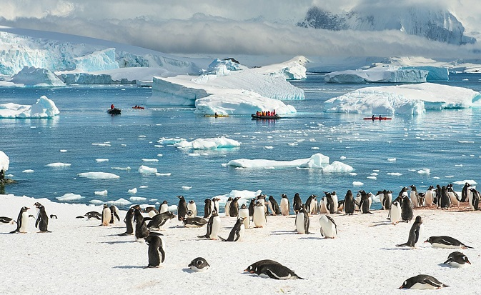 Китай і росія блокують створення заповідників в Антарктиці