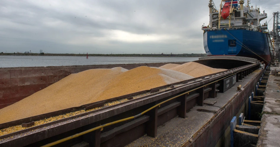 Росія не бачить підстав продовжувати «зернову угоду»