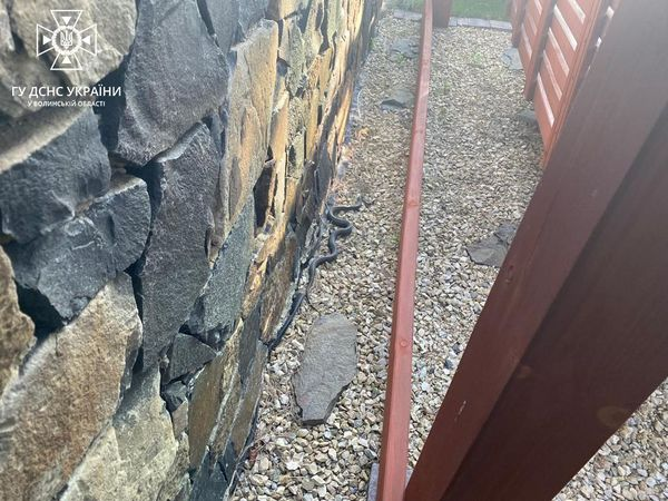 У Струмівці зловили змію на подвір'ї (фото)