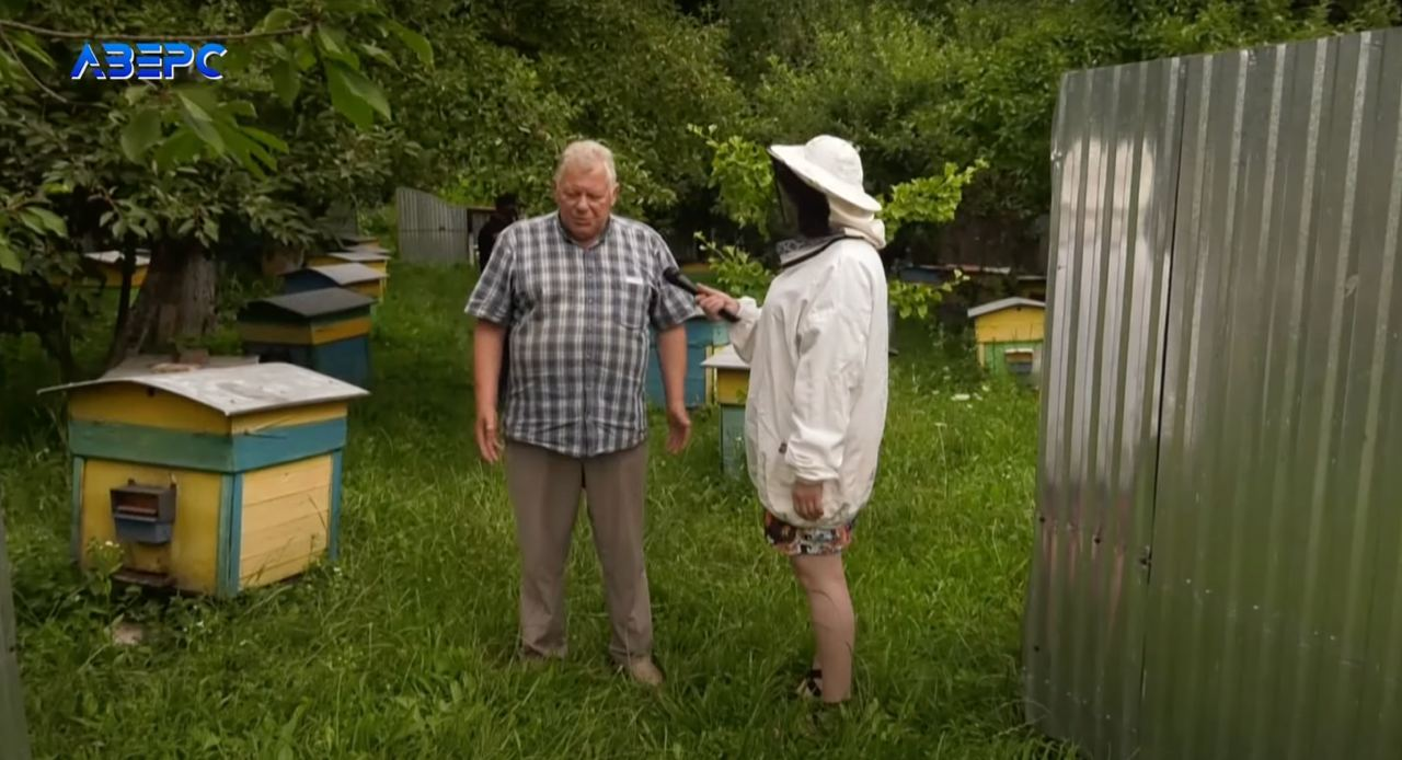 На Волині масово гинуть бджоли – звинувачують аграріїв (відео)