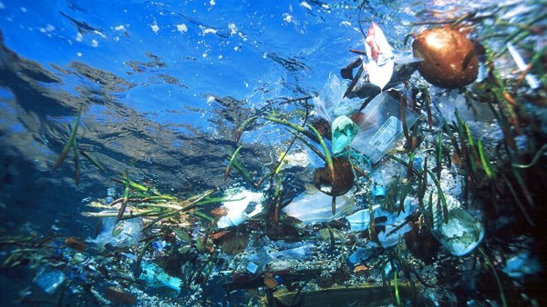 Дослідники виявили найбільше забруднення пластиком на глибині
