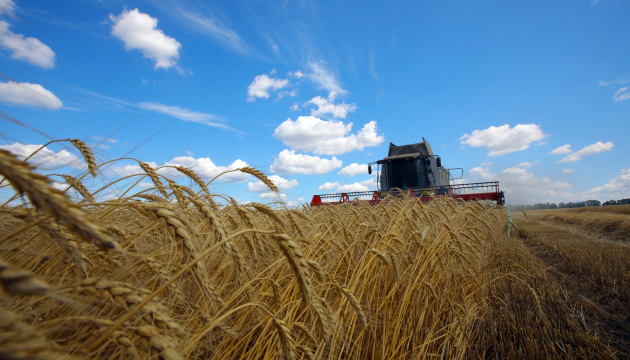 Попри війну в Україні вже намолотили понад 2 мільйони тонн зерна