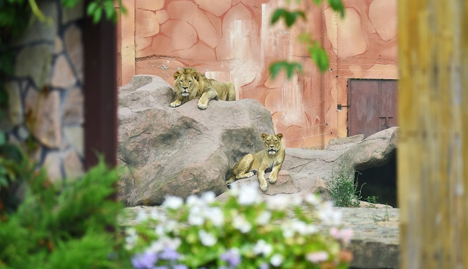 У Луцькому зоопарку «зловили» на камеру відвідувачів та сезонне озеленіння (фото)