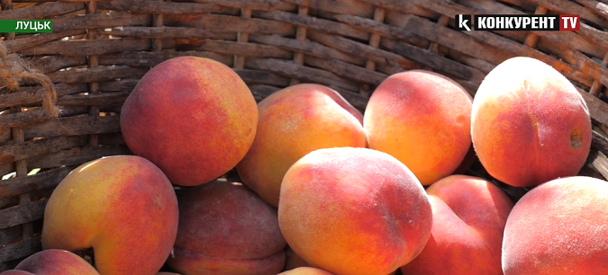 Скільки коштує на луцькому ринку лохина та персики (відео)