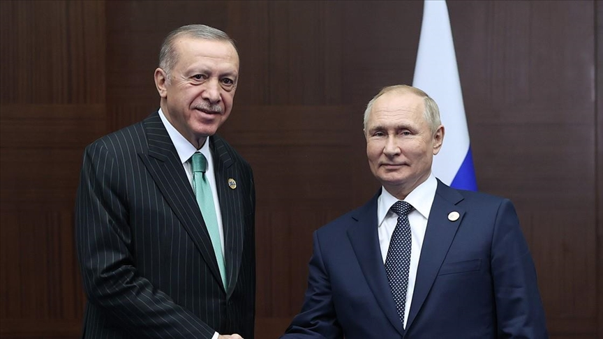 Ердоган і Путін домовилися про візит президента РФ до Туреччини, – ЗМІ