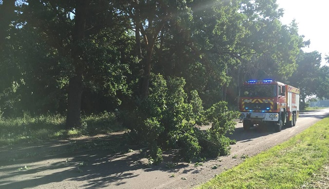 У Луцькому районі дерево звалилось на дорогу (фото)