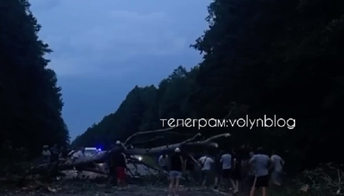 На трасі Ковель – Маневичі на авто впало дерево – є постраждалі (відео)