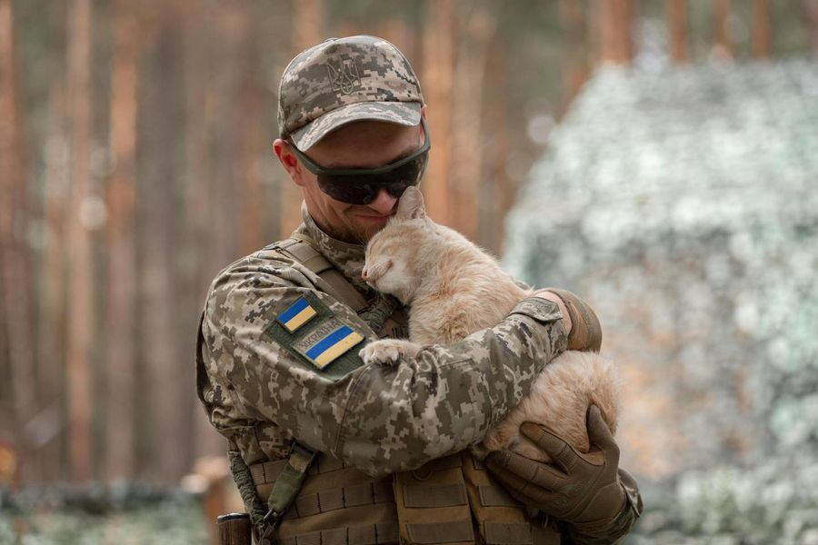 Наймиліший захисник: котик на псевдо «Сметана» служить на північних кордонах (фото)